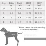 Arnés con trailla reflectiva - Imagen 3