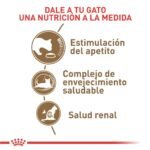 Infografía de los tres beneficios del alimento para gato Royal Canin Ageing 12+ • Estimulación del apetito • Complejo de envejecimiento saludable • Salud renal
