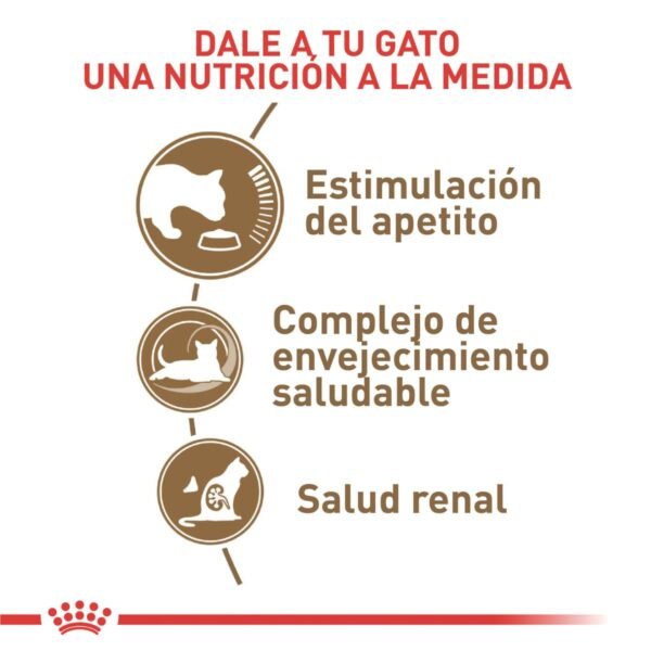Infografía de los tres beneficios del alimento para gato Royal Canin Ageing 12+ • Estimulación del apetito • Complejo de envejecimiento saludable • Salud renal