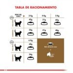 Tabla de alimentación diaria de Royal Canin Ageing 12+ de acuerdo al peso del gato