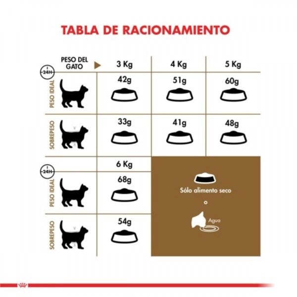 Tabla de alimentación diaria de Royal Canin Ageing 12+ de acuerdo al peso del gato
