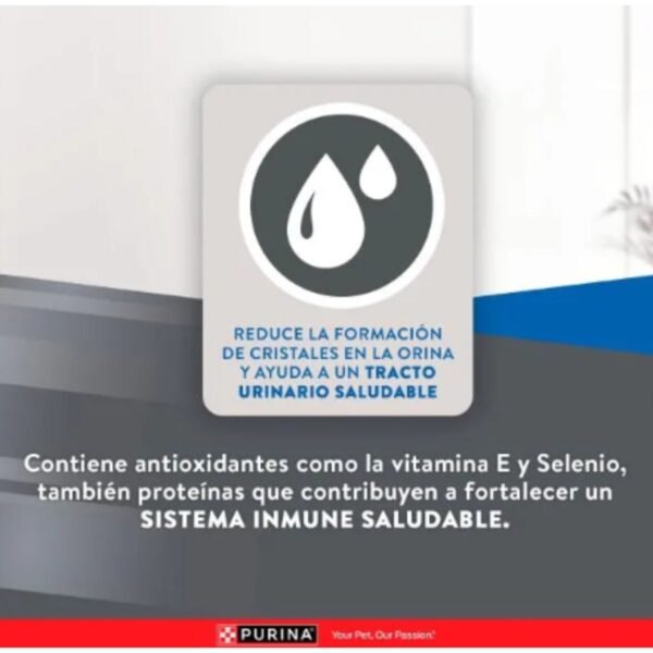 Excellent Urinary Cat - Pollo y Arroz - Imagen 4