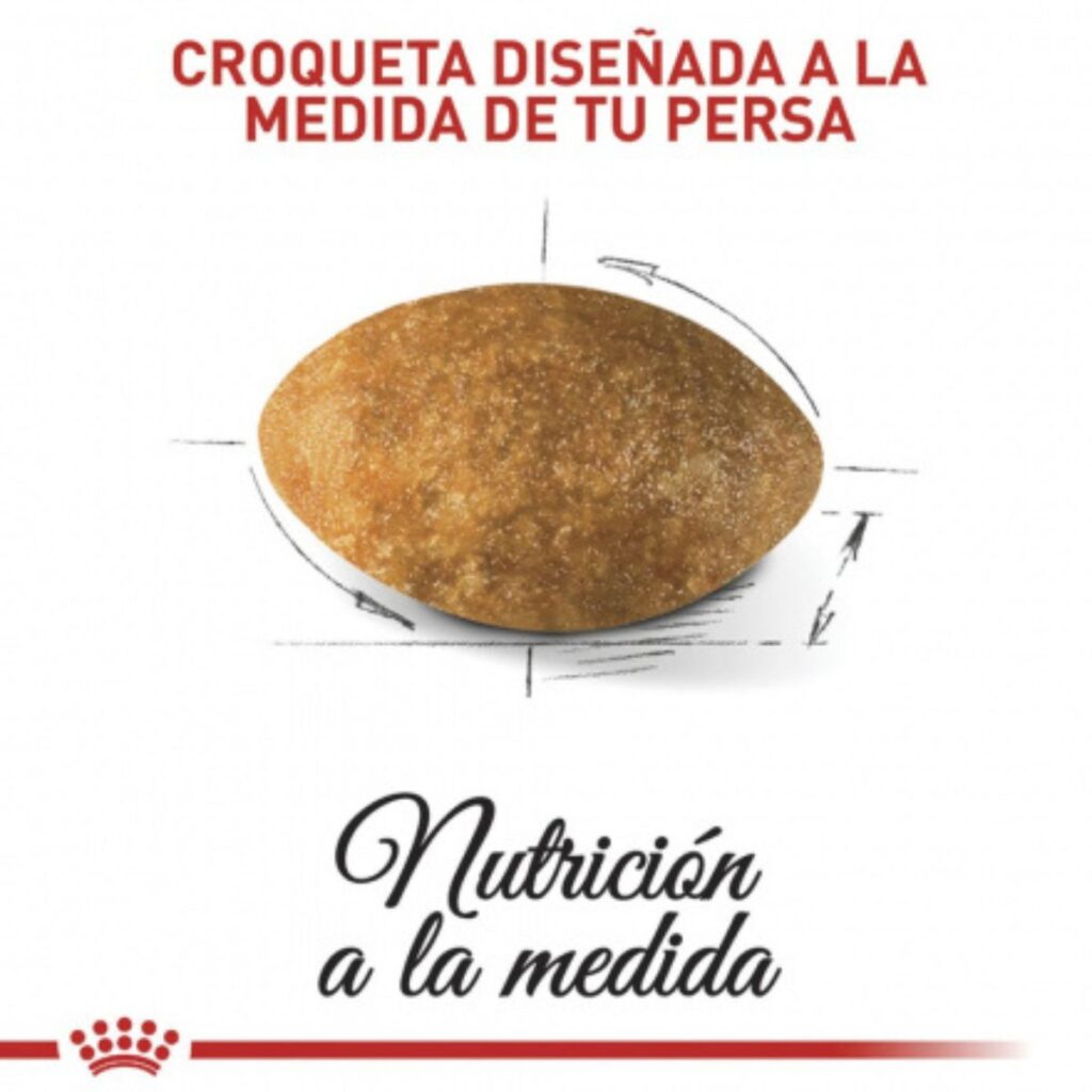 Imagen del tamaño de la croqueta de Royal Canin Gato Persa. En la parte superior, destaca el texto 'Croqueta diseñada a la medida de tu persa', junto con la indicación 'Nutrición a la medida'