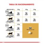 Tabla de alimentación diaria de Royal Canin Gato Persa de acuerdo al peso del gato, desde 3 Kg hasta 6 kg de peso