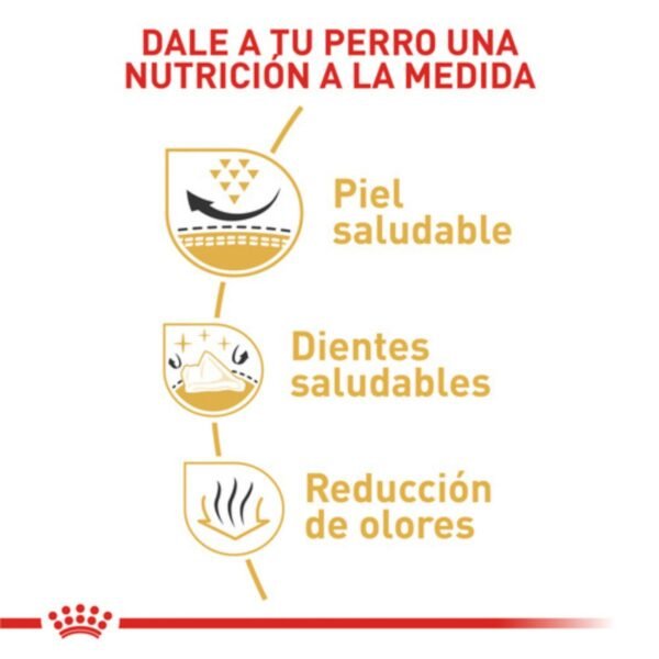 Infografía de los tres beneficios del alimento para perro Royal Canin Shih Tzu • Piel Saludable • Dientes Saludables • Reducción de Olores